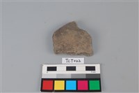 藏品(陶片)的圖片