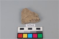 藏品(陶片)的圖片