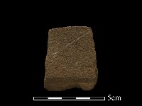 藏品(石鋸)的圖片