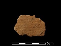 藏品(陶片)的圖片