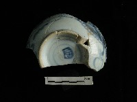 藏品(瓷碗)的圖片