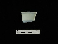 藏品(瓷碗)的圖片