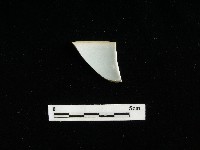 藏品(瓷碗)的圖片