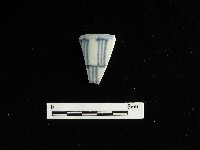 藏品(瓷碗)的圖片