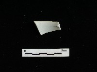 藏品(瓷碗)的圖片