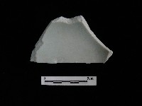 藏品(瓷碗)的圖片