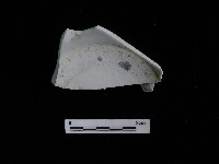 藏品(瓷碗)的圖片