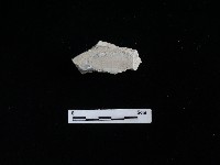 藏品(瓷碗)的圖片