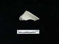 藏品(瓷碗)的圖片