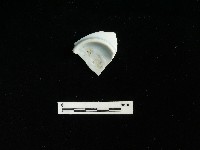 藏品(瓷碗)的圖片