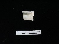 藏品(瓷碗)的圖片