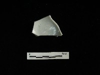 藏品(瓷杯)的圖片