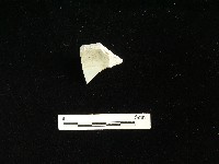 藏品(瓷碗)的圖片