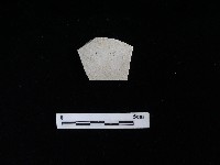 藏品(瓷盤)的圖片