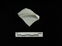 藏品(瓷盤)的圖片