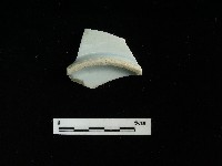 藏品(瓷盤)的圖片