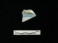 藏品(瓷盤)的圖片