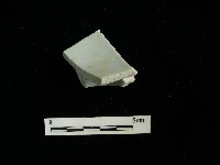 藏品(瓷碗)的圖片