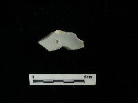 藏品(瓷碗)的圖片