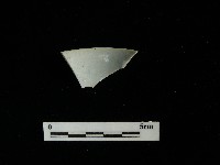 藏品(瓷杯)的圖片