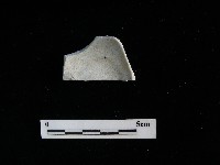 藏品(瓷杯)的圖片