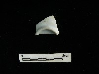 藏品(瓷杯)的圖片