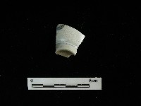 藏品(瓷杯)的圖片