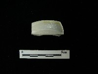 藏品(瓷碟)的圖片