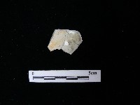 藏品(湯匙)的圖片