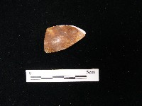 藏品(湯匙)的圖片