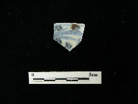 藏品(瓷片)的圖片