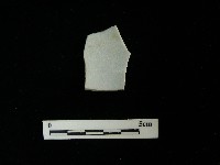 藏品(瓷片)的圖片