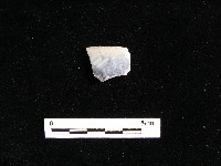 藏品(瓷片)的圖片