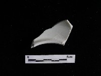 藏品(瓷片)的圖片