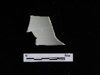 藏品(瓷片)的圖片