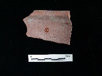 藏品(陶片)的圖片