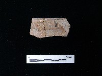 藏品(陶片)的圖片