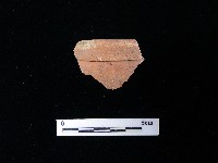 藏品(陶片)的圖片