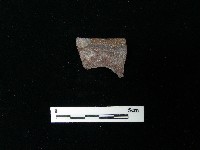 藏品(陶片)的圖片