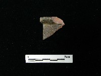 藏品(陶片)的圖片