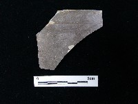 藏品(陶片)的圖片