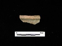 藏品(陶片)的圖片