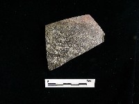 藏品(陶片)的圖片