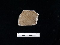 藏品(陶片)的圖片