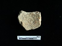 藏品(陶片)的圖片