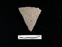 藏品(陶片)的圖片