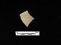 藏品(陶片)的圖片