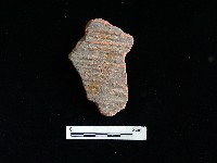 藏品(陶片)的圖片