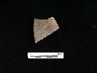 藏品(陶片)的圖片