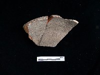 藏品(陶片)的圖片